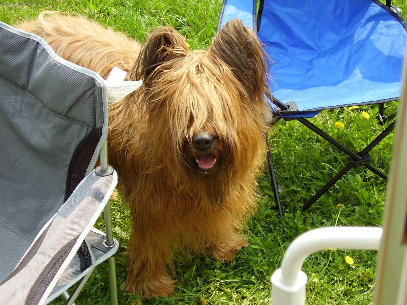 Foto: Hezká Netyna-KOuká ne mne