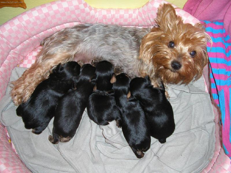 Foto: Peggynka pyšná máma !!