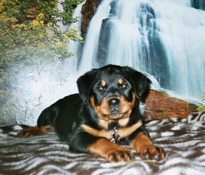 Foto: .. to jsem byla ještě malá..-..a mohla jsem do postele