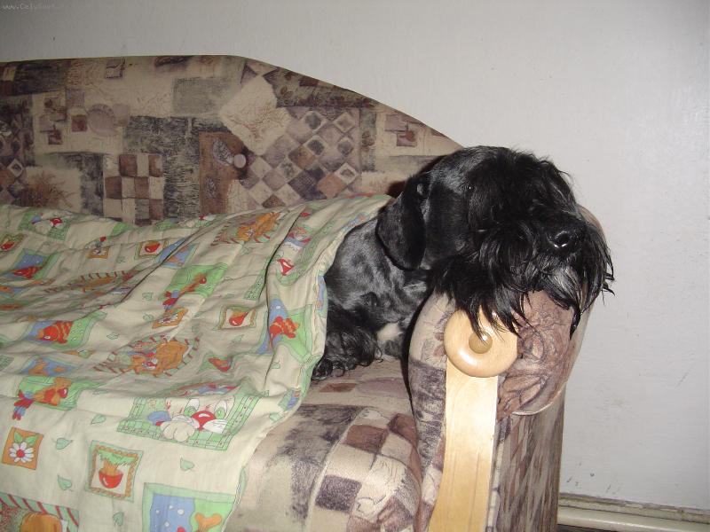 Foto: TOJE POHODIČKA