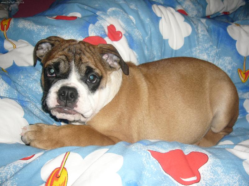 Foto: Boneček v oblacích