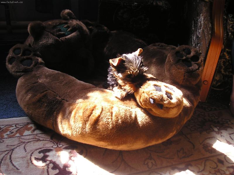 Foto: zizi hajá....