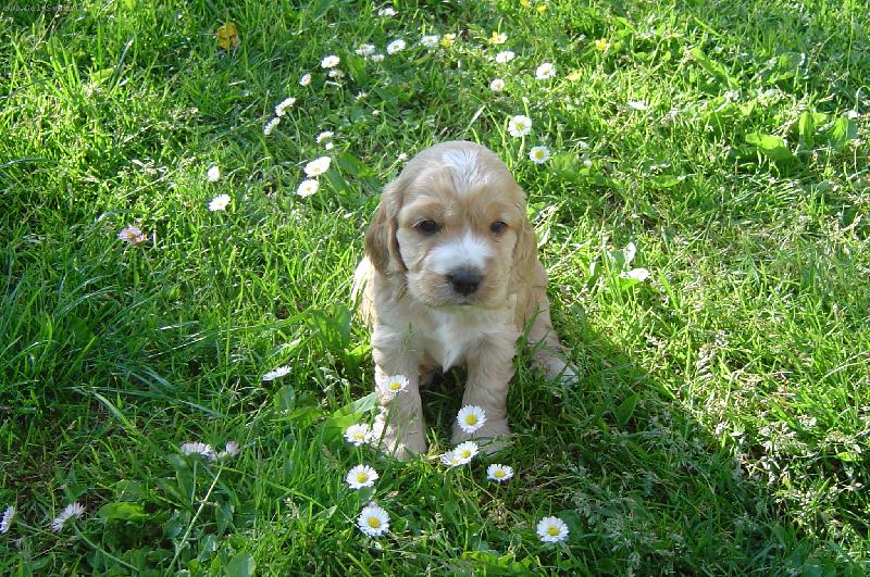 Foto: na tom světě je krásně