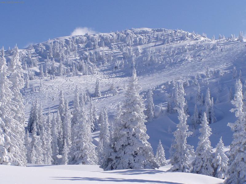 Foto: jako v pohádce-zima