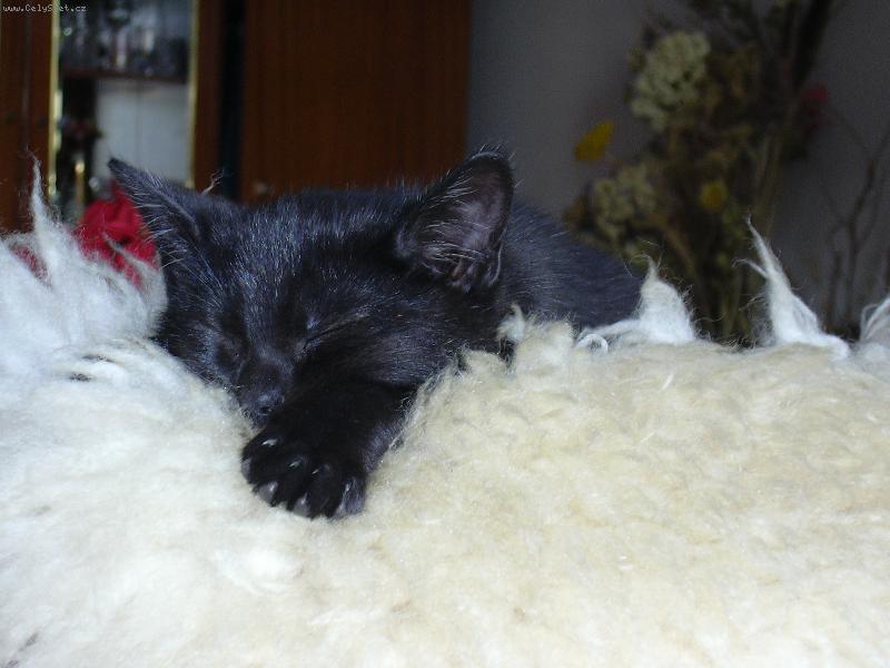 Foto: Odpoledn� rozj�m�n�