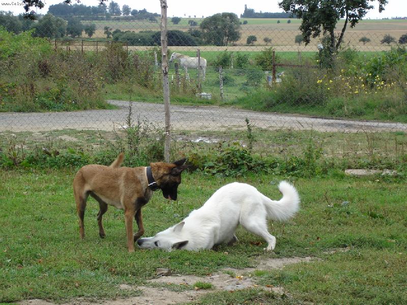 Foto: pojďte paní budeme si hrát