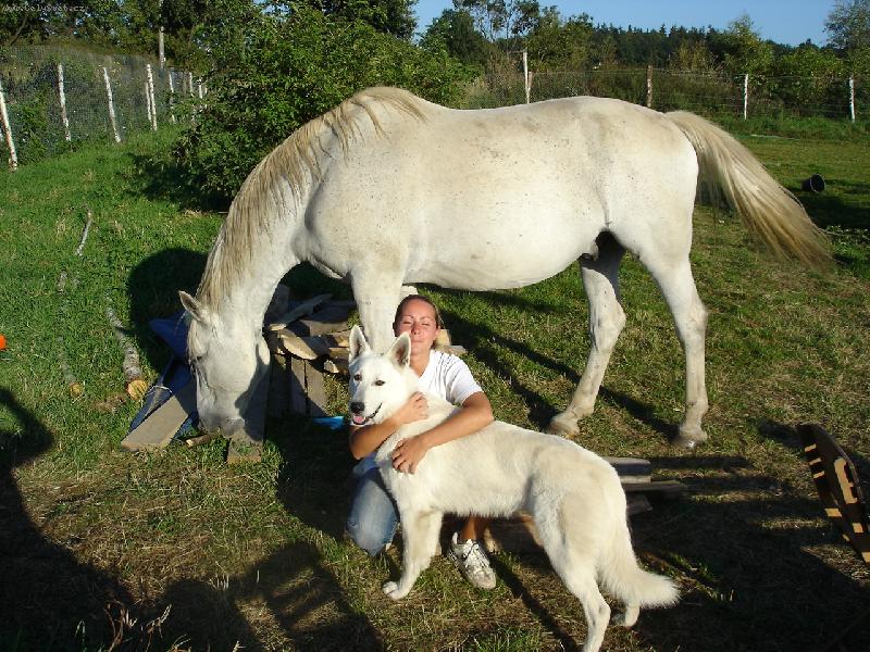 Foto: bílí kamarádi