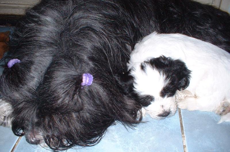 Foto: spolu-mama Eni so svojim synkom Dandym