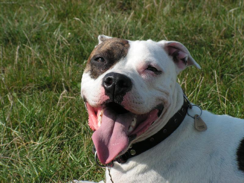 Foto: Úsměv prosím