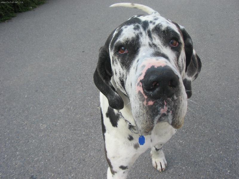 Foto: baroušek-hezkej kukuč:-))