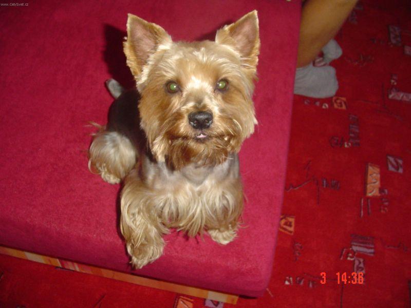 Foto: Kendy-Náš miláček, když vidí foťák, musí být na každé fotce