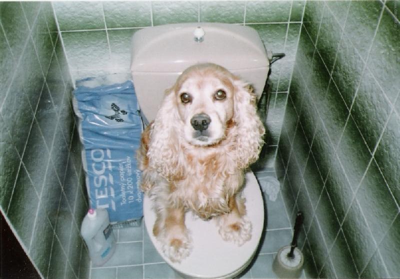 Foto: Václav na prázdninách u babičky...