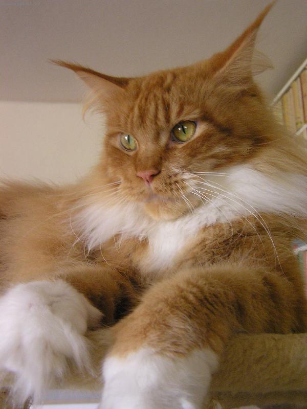 Foto: Charlotta-Při odpočinku