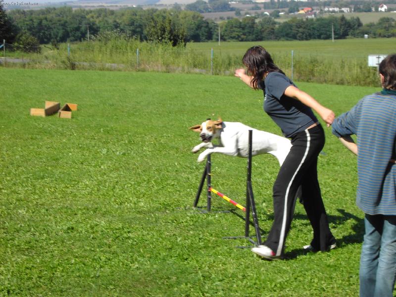 Foto: létající Max-agility