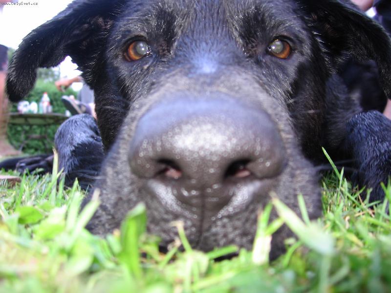 Foto: já tě sleduju