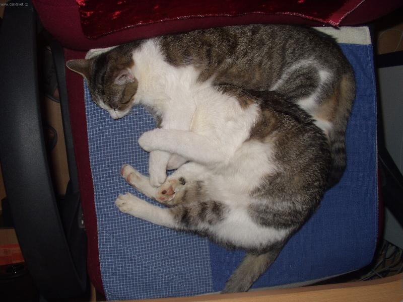 Foto: dvojčata-nic nechci slyšet