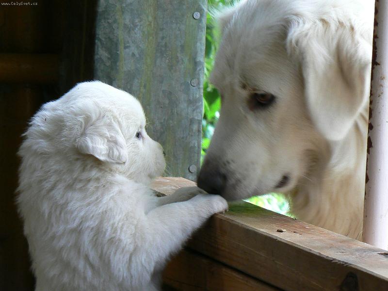 Foto: Ňufík a maminka