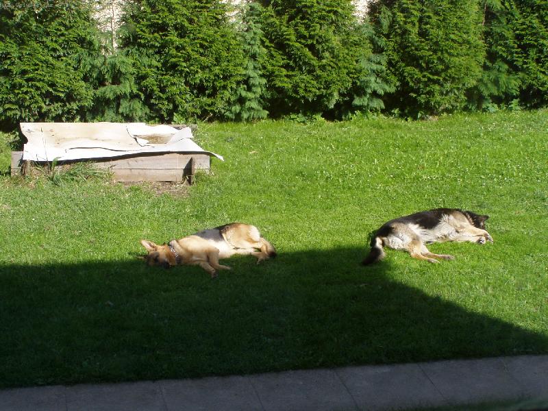 Foto: Opalovačka-Není nad pořádnou opalovačku