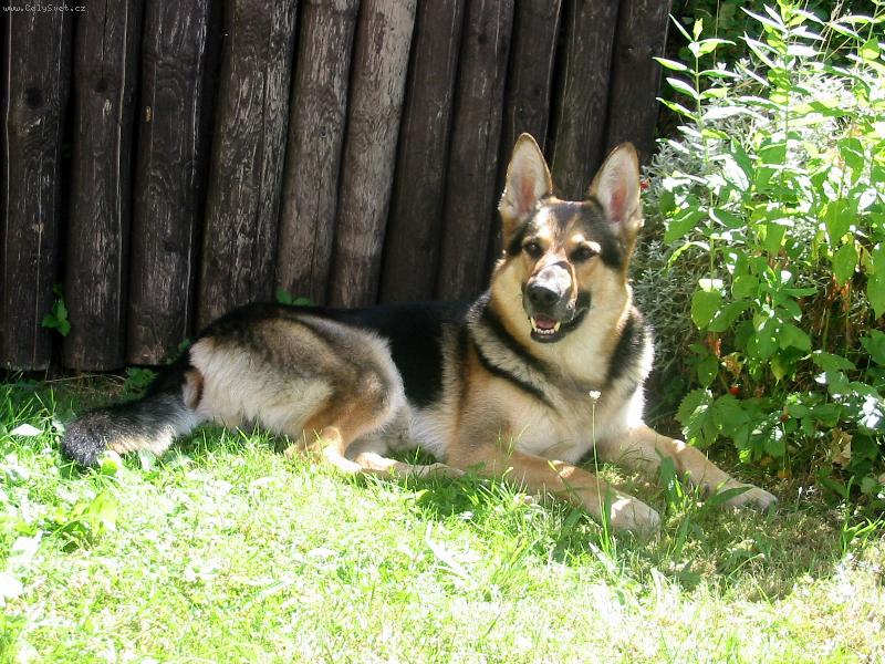 Foto: Amor-Odpolední siesta