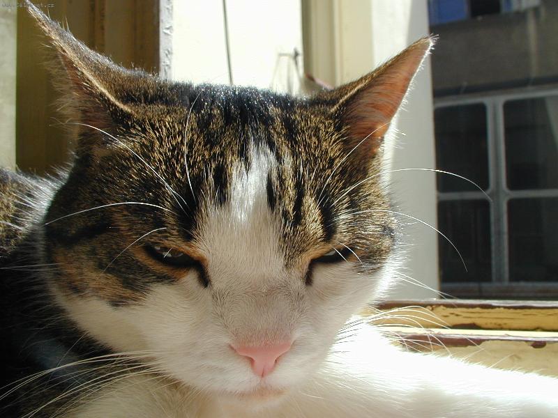 Foto: vrah Kájínek =)