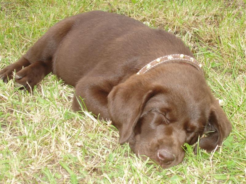 Foto: naše zlatíčko