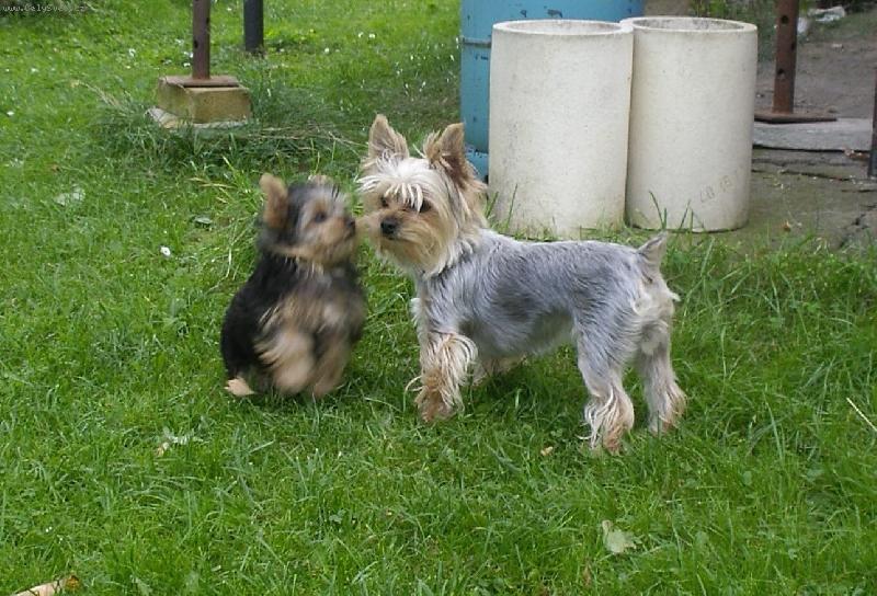 Foto: Maminka s Adý-Maminka s Adý