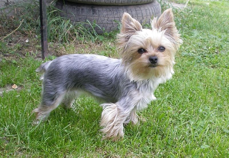 Foto: mudlinka-mudlík