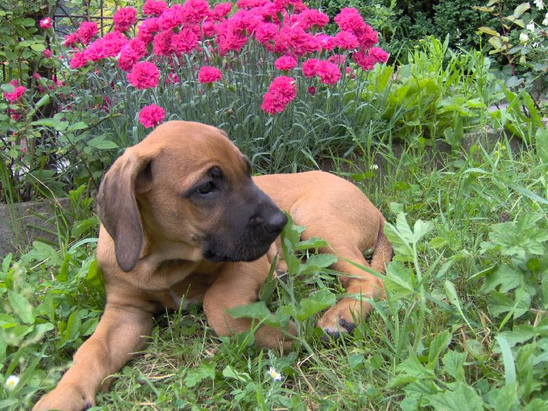 Foto: Meggy-Malý lovec motýlů