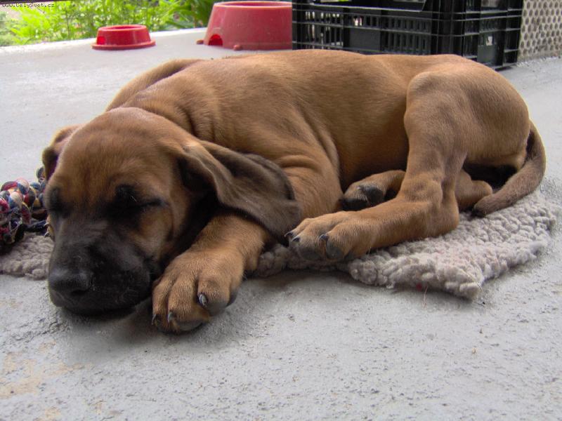 Foto: Meggy-Ospaleček