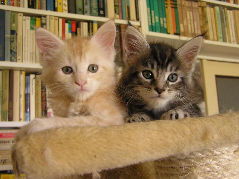 Foto: Birgit a Black Jack-My to slovo "sýr" prostě neřekneme!!!