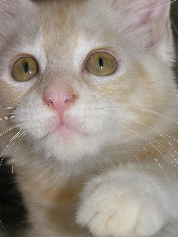 Foto: Birgit-Já si chci sáhnout,aspoň trošku....