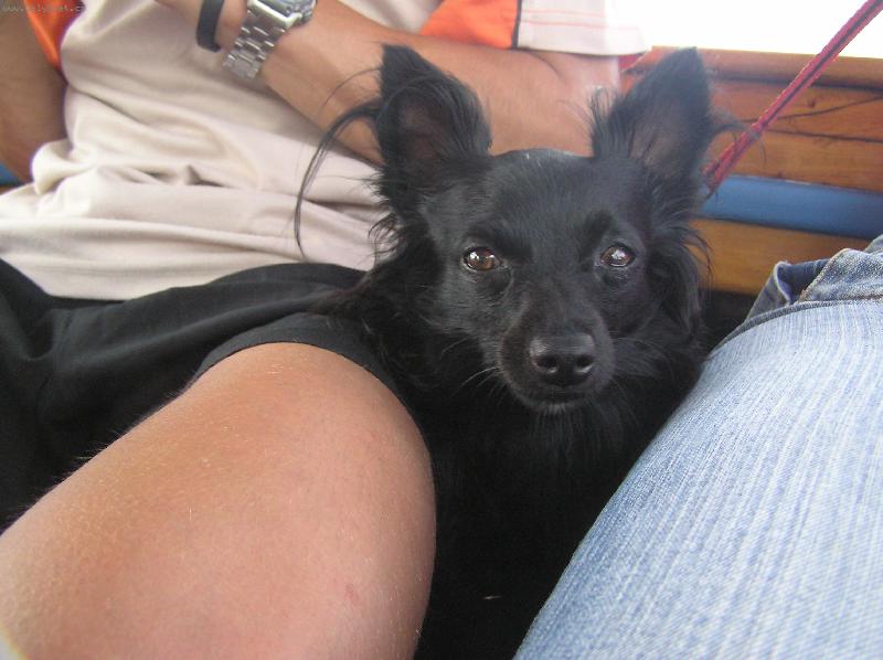 Foto: Polední siesta-Naše miminko po dobrém obídku na dovolené