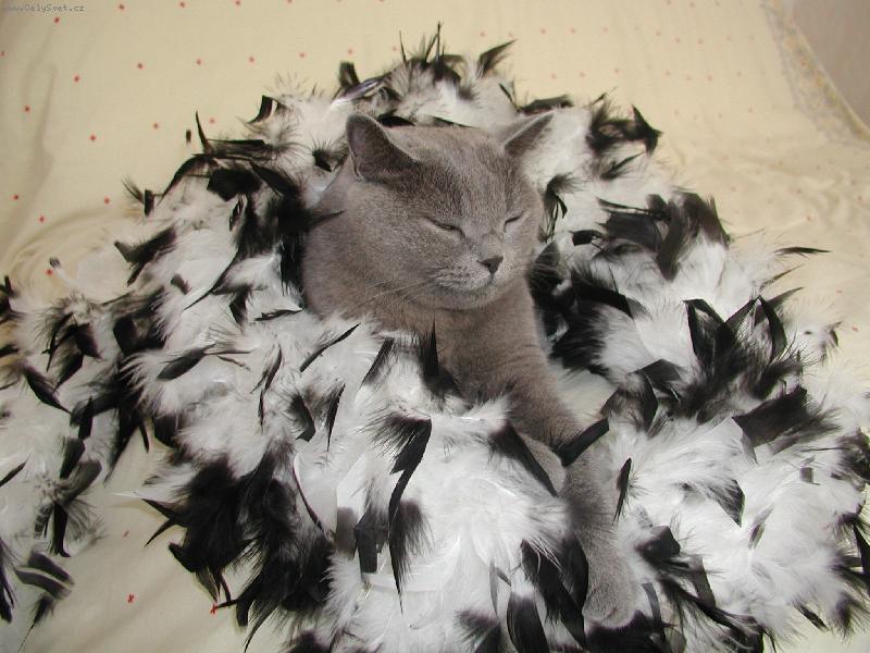 Foto: Klárka-Naše malá modelka