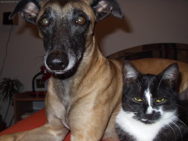 Foto: Kamarádi-Arčí s Lesíkem