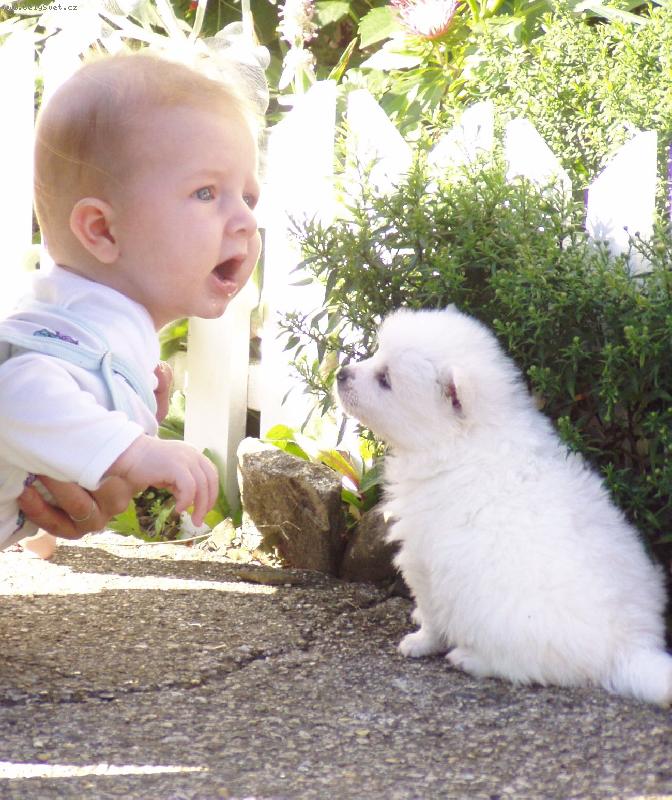 Foto: o čem si povídají