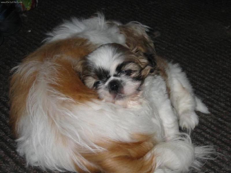 Foto: Lucky-U maminky je nejlépe