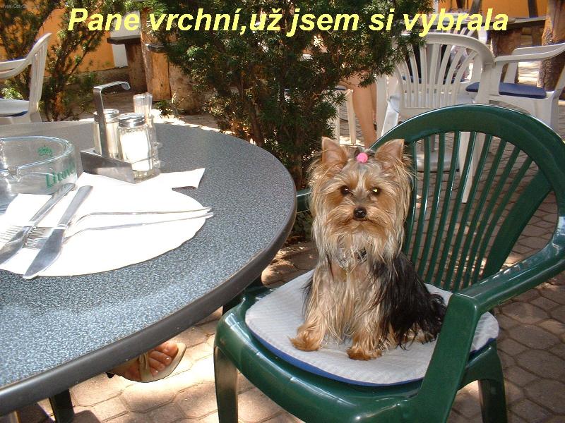 Foto: Tiffany-Pane vrchní, už jsem si vybrala!