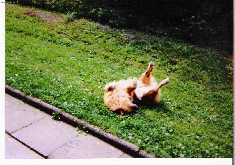 Foto: Ranní rozcvička