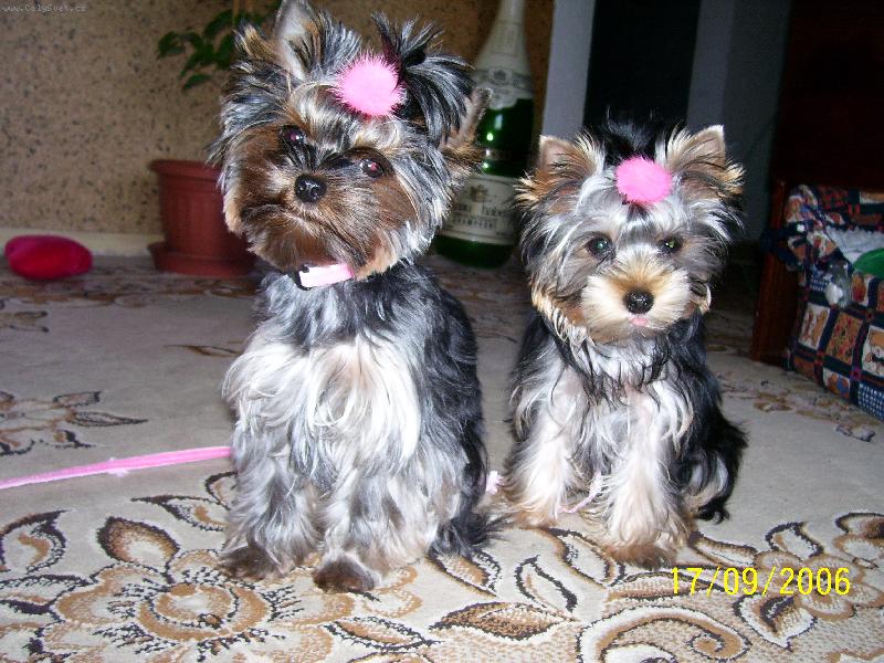 Foto: Jdeme ven-ještě foto:-)