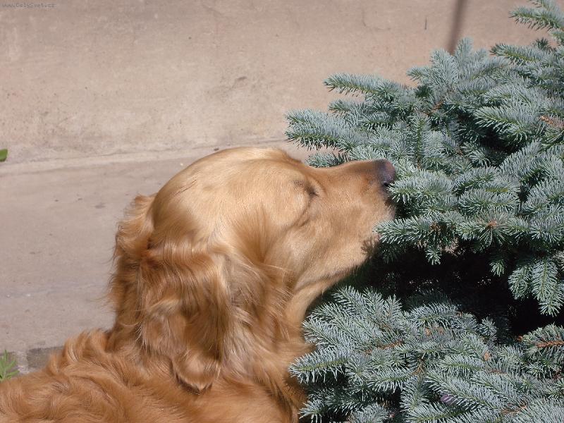 Foto: Pěkně protáhnou