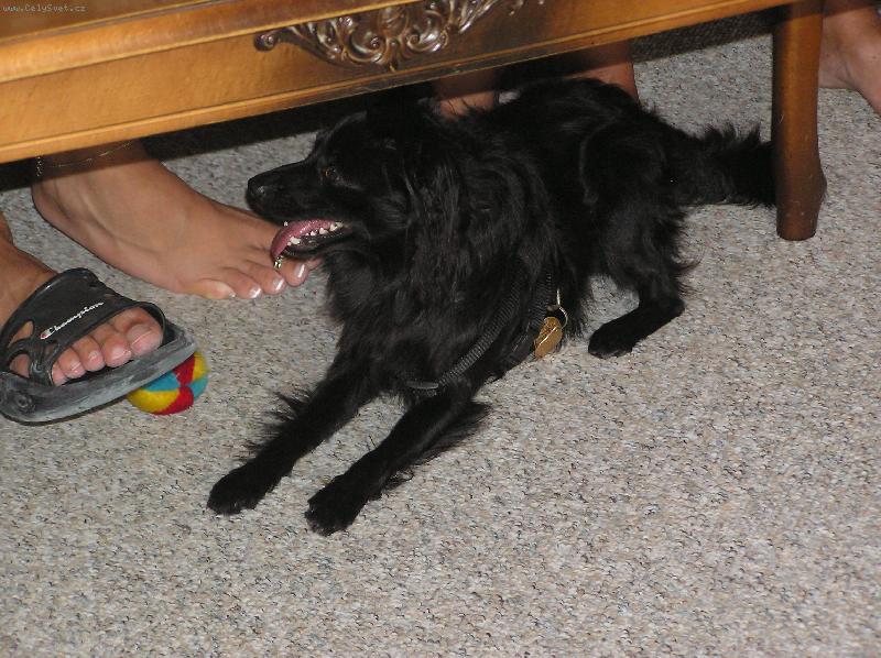 Foto: Jerry-Nikdo si nechce hrát, ach jo...