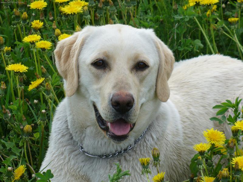 Foto: Romantička-Sany,milovnice přírody