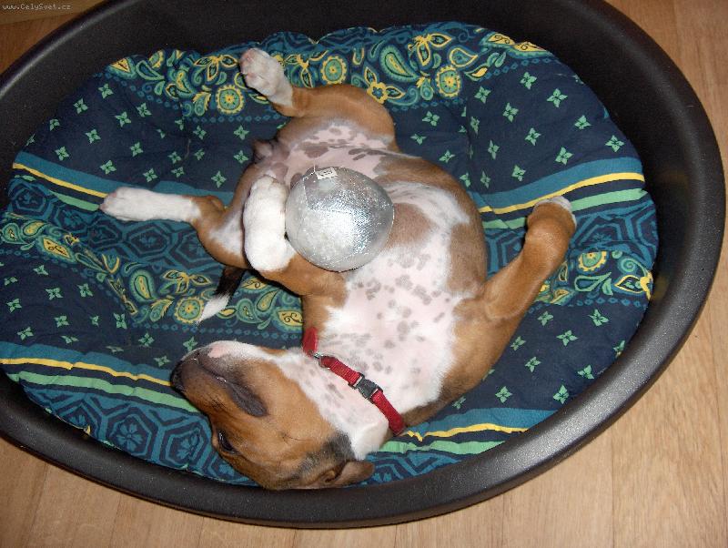 Foto: Urfa-Spící sportovkyně