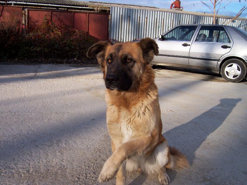 Foto: Dáma Betty-Bettynka