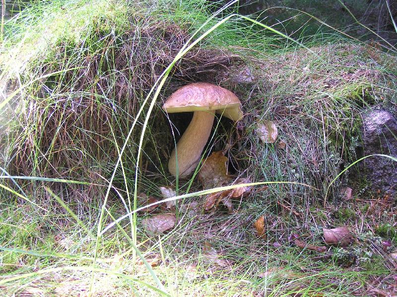 Foto: pravej pravák-ten se mi ale schoval!