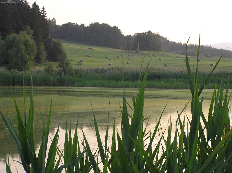 Foto: krása přírody