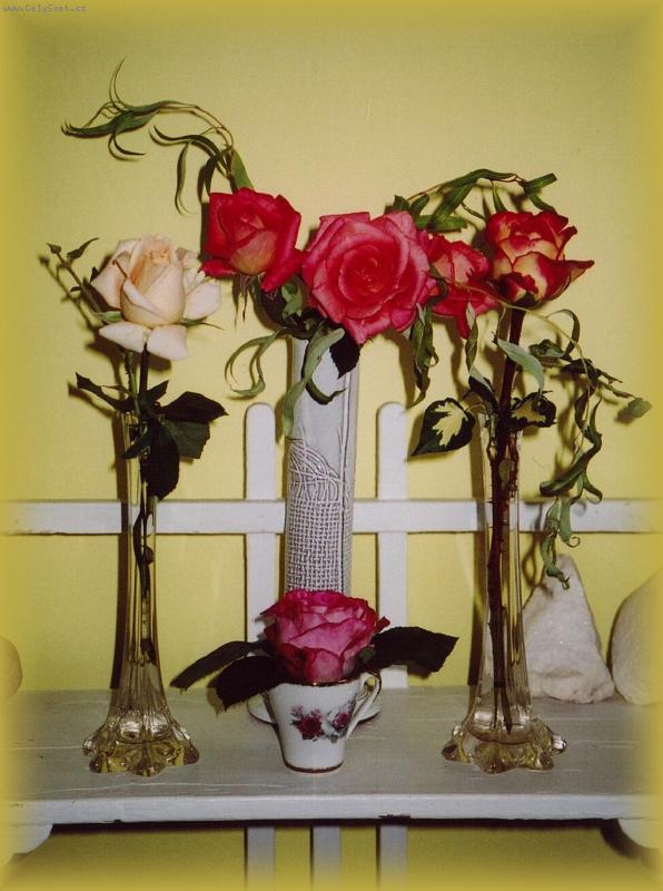 Foto: Zátiší s růžemi