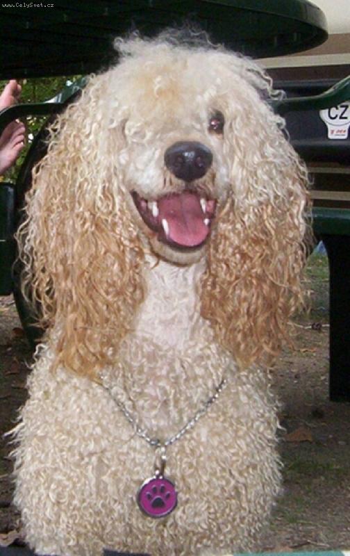 Foto: Eliška-Tak vypadám po třech dnech v Bohnicích. Vřele doporučuji!!!!!!!!!!!!