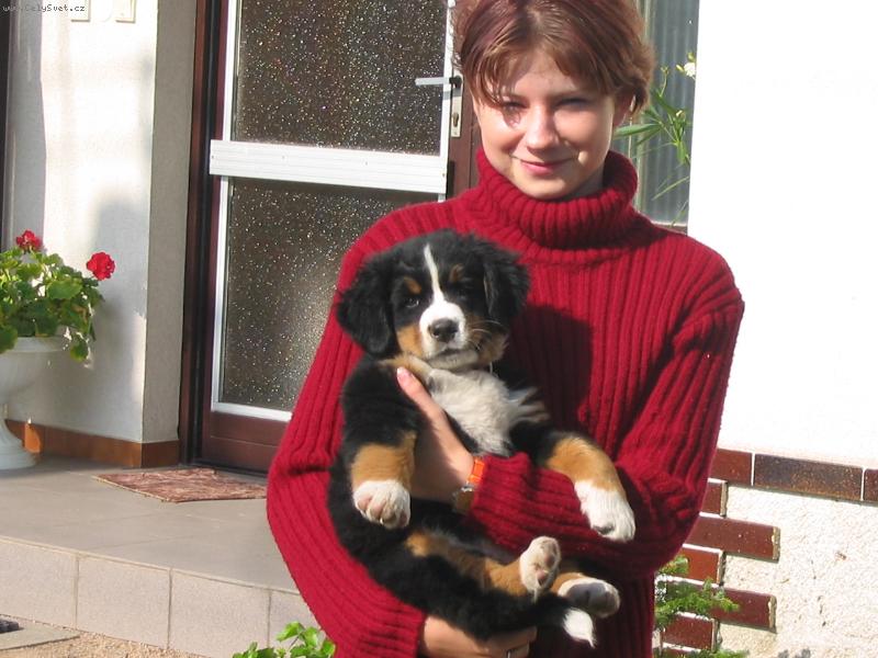 Foto: Bettinka-Bettinka