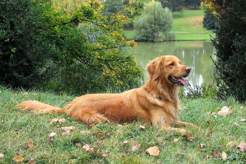 Foto: LETNÍ ROZJÍMÁNÍ-HEXA Z PÁRALOVY ZAHRADY